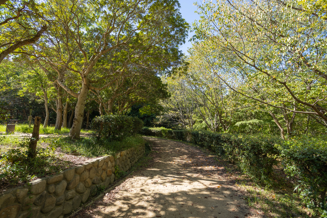 奥須磨公園の画像