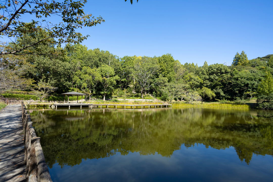 奥須磨公園の画像