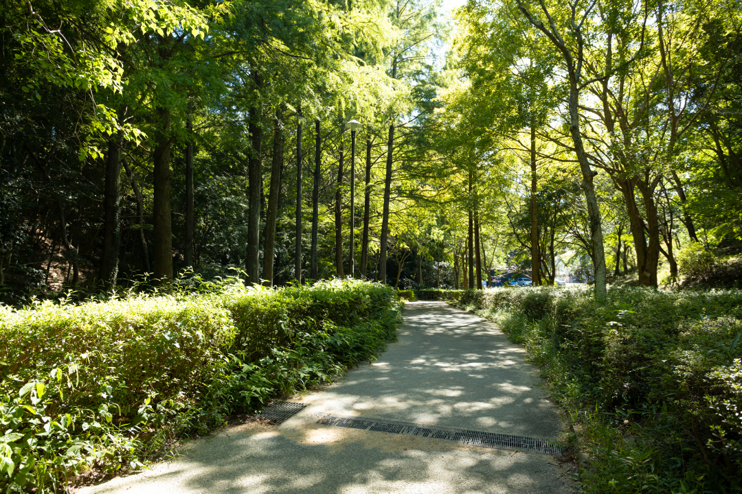 奥須磨公園の画像