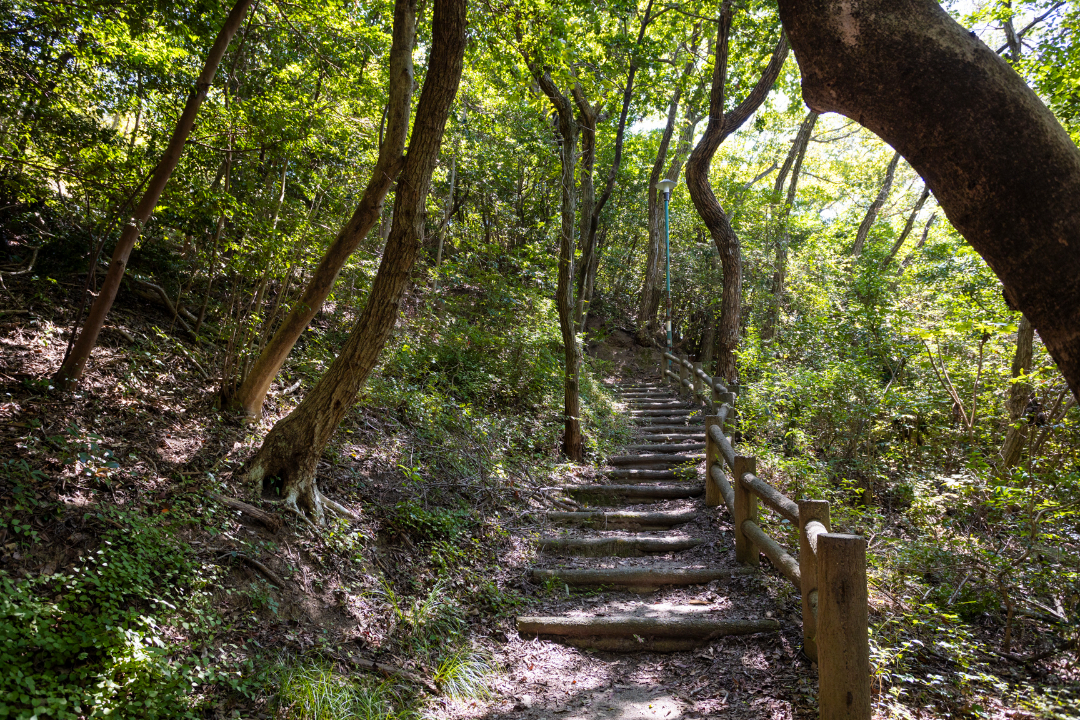 落合中央公園の画像