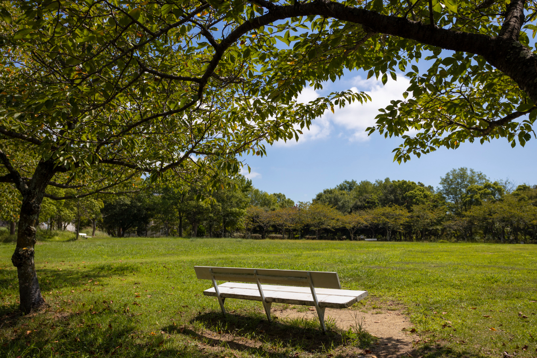 滝が谷公園の画像