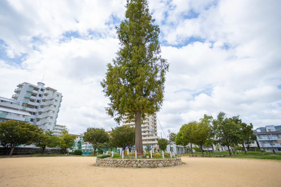 千歳公園の画像