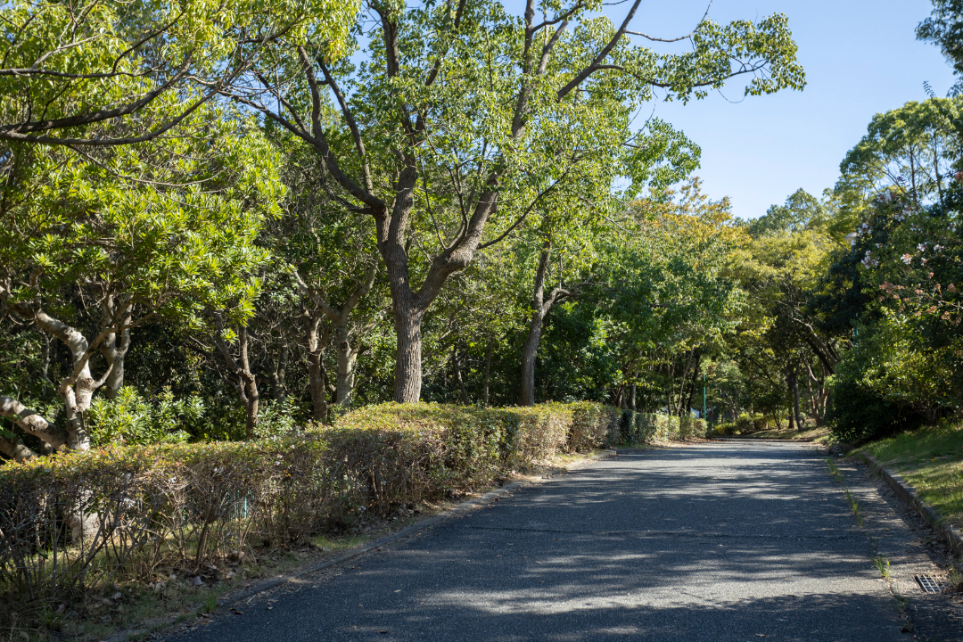 椿谷公園の画像