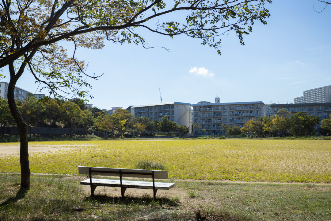 椿谷公園の画像