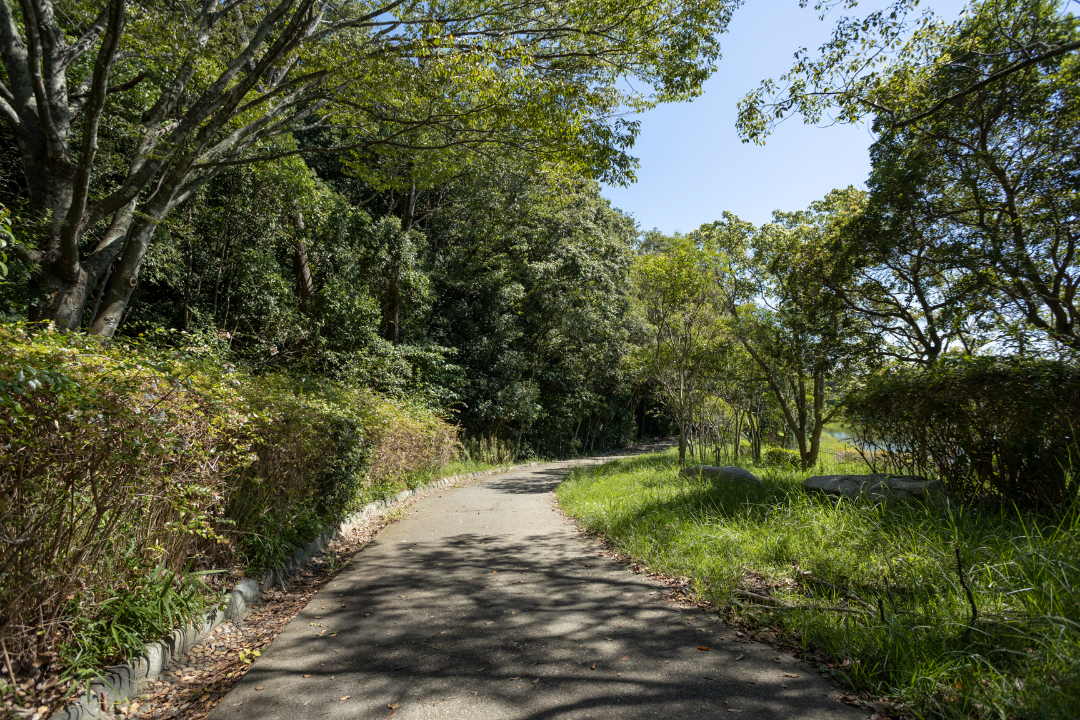 土池公園の画像