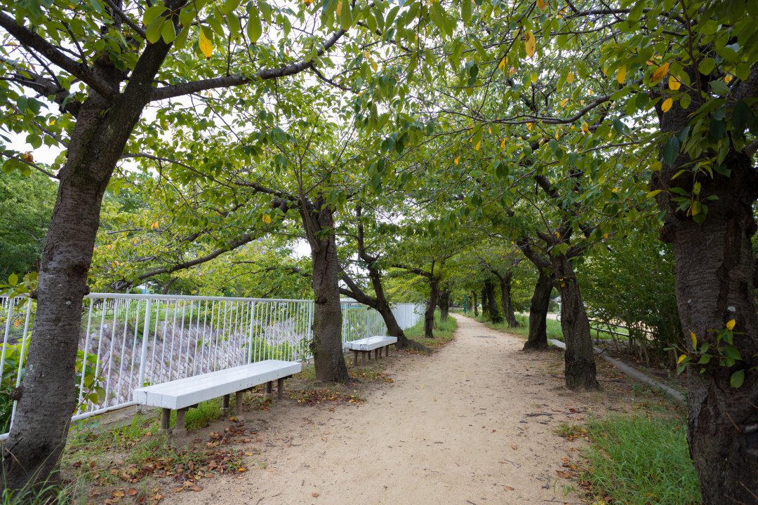 妙法寺川公園の画像