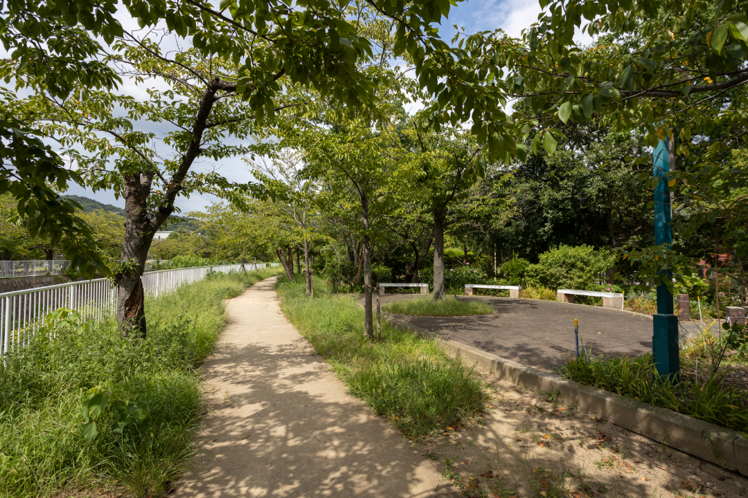 妙法寺川公園の画像