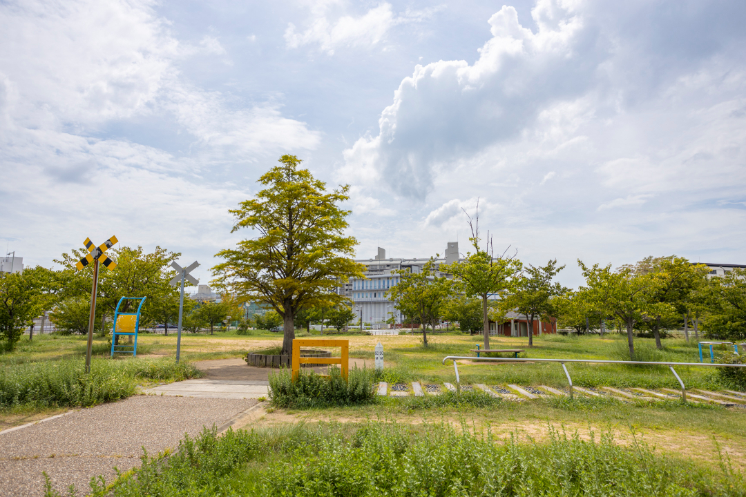 妙法寺川左岸公園の画像