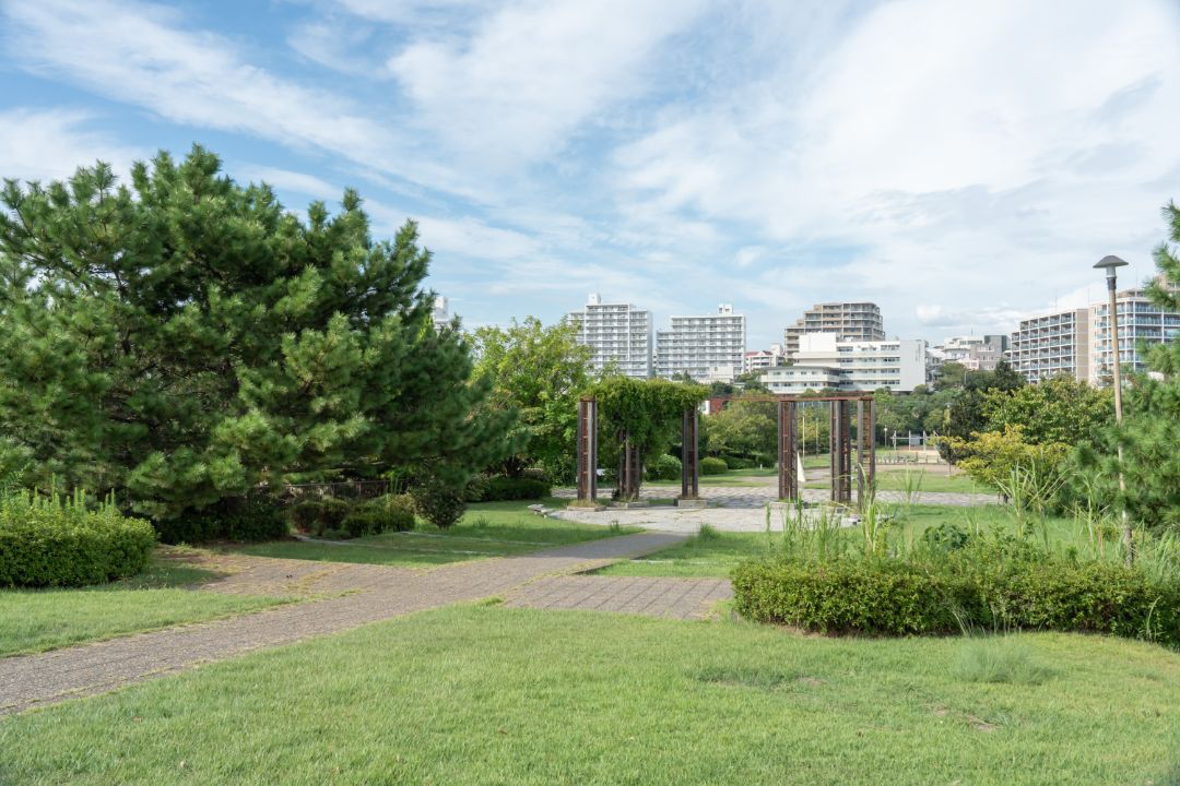 苔谷公園の画像